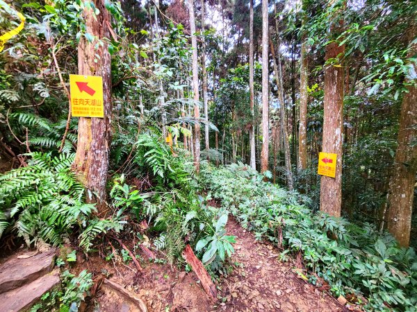 小百岳集起來-向天湖山2183003