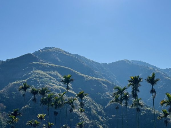 20250216瑞峰瑞里健行2730528