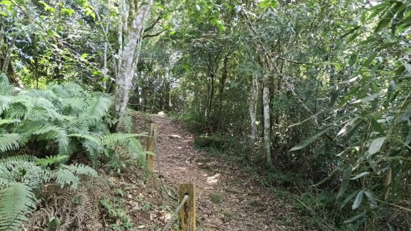 20251004 馬那邦山 - 珠湖 登山口2904922