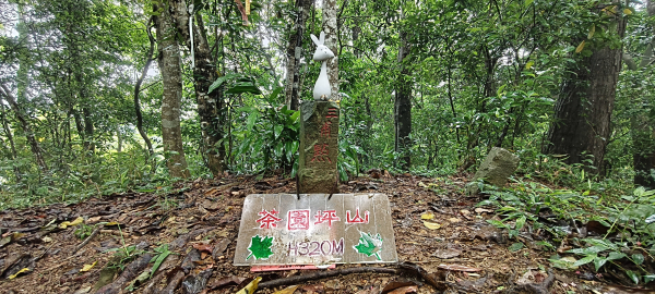 茶園坪山-2025/05/25