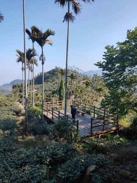 挑筍古道(大尖山、後棟仔山步道)1262777