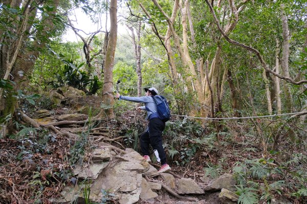 觀望山(德文山)2736173