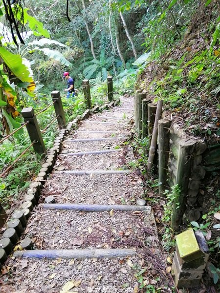 台中~仙氣繩橋山林環繞。 蝙蝠洞登山步道1295478