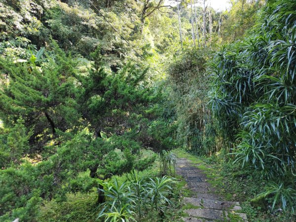 2023.12.08 土庫岳2695278