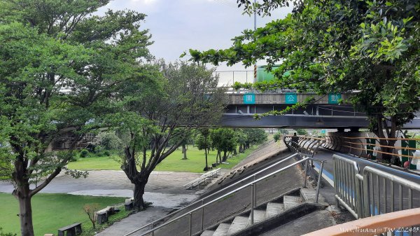 《台中》海堤長廊｜麗水漁港健行202405172506426