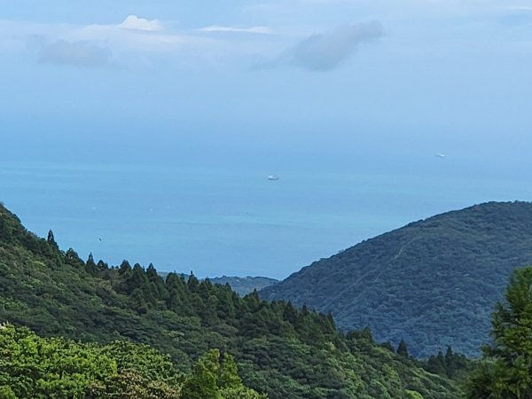 苗圃-七星山主,東峰-大屯山主峰-二子坪-202410262859690
