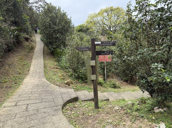 [微笑山線_第四段] 2026_0321 天上山系_石門內尖山東峰3021307