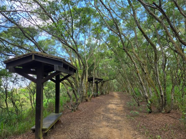 大肚環保公園