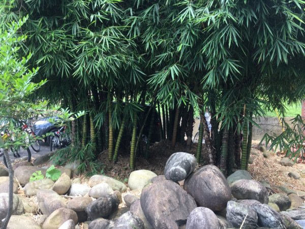 霄裡好風光好景色2825437