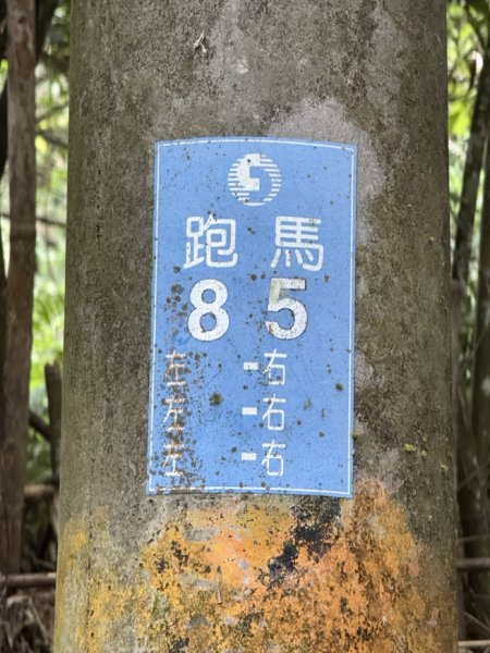 2025/09/15 跑馬古道 鵲子山3041558