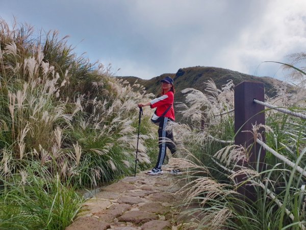 浪漫芒草伴行登頂第一個小百岳七星山1147712