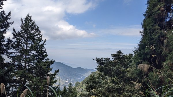 溪頭鳳凰山2021038