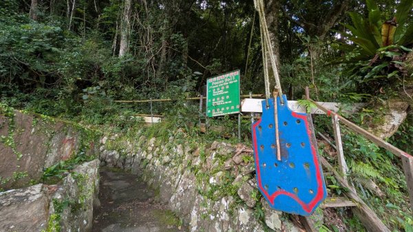李崠山步道3093007