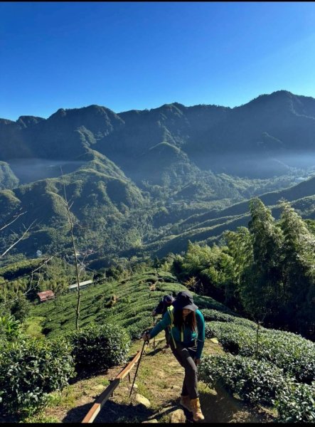 20251117樟空崙步道挑竹古道3號 六連峰O繞2939630