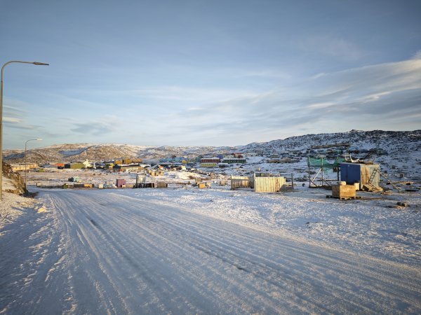 [紐約馬之行-32] 2025_1106 格陵蘭犬2947911