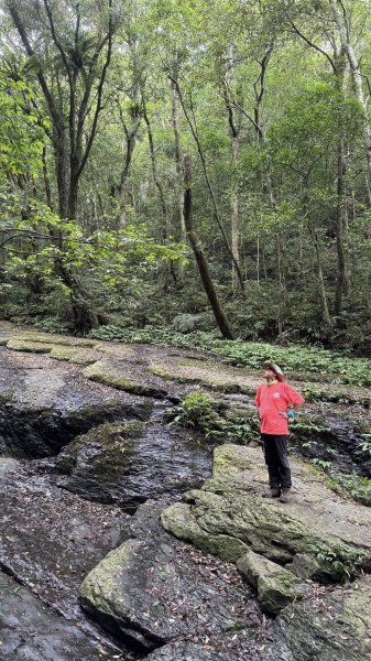 20250629三峽雲森瀑布2837785