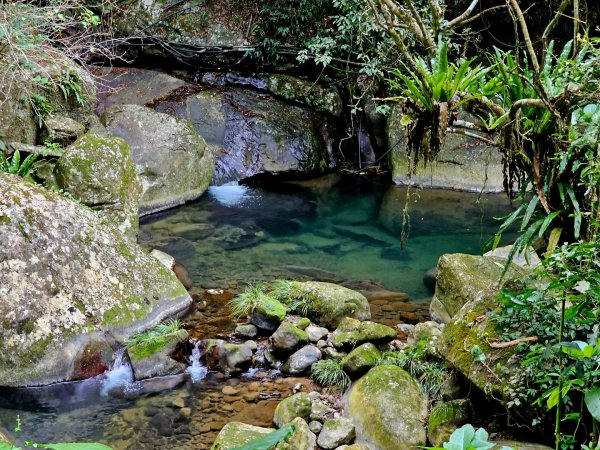 馬胎古道、馬胎二期古道、南坪古道2986018