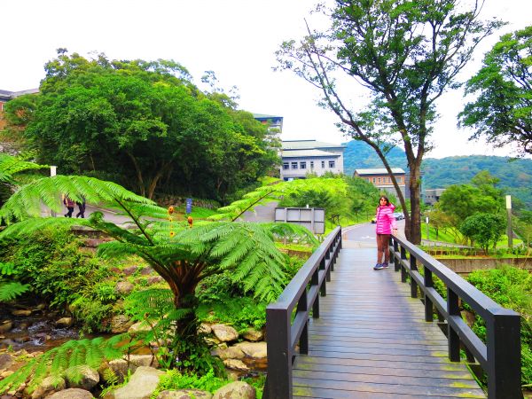 金山法鼓山園區步道100452