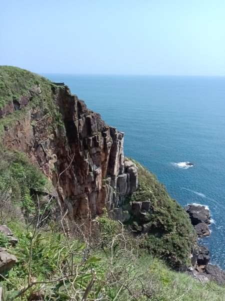 貢寮區龍洞灣岬步道+大禮堂海岸+釣客小徑+金沙灣碉堡野百合2765122