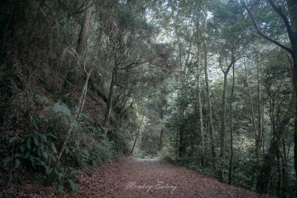 橫嶺山步道1356077