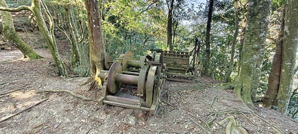 2026/03/18 加里山+大坪山 O型3020006