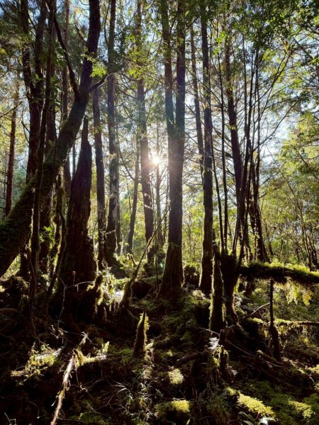 🌈11/29(六)-30(日)空靈系秘境~太平山-三星山(小百岳)⛰️+三星池~🌈2952230