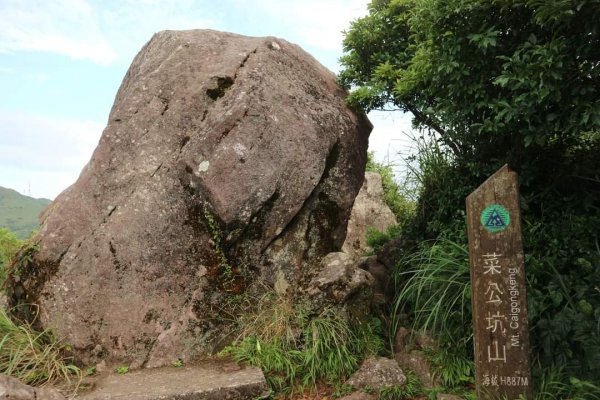陽明山  菜公坑山 反經石   水車寮步道。林木蓊鬱  豐富的蕨類植披，絕佳避暑古道2174066