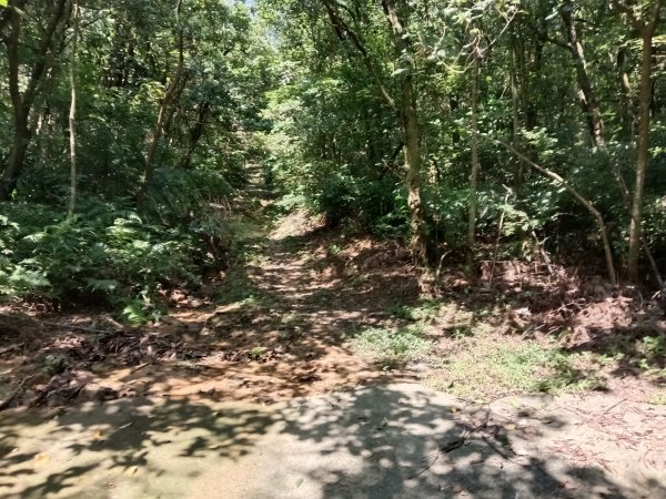 內湖區大丘田保甲路+開眼山+白石湖山+白石湖山東峰+大邱田山+消防山O型2858896