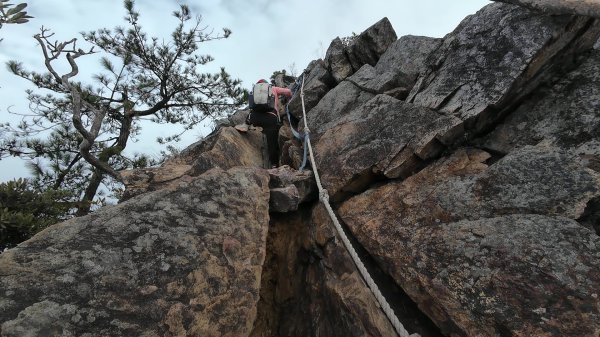 台中 鳶嘴稍來山O繞+稍來神木2989471