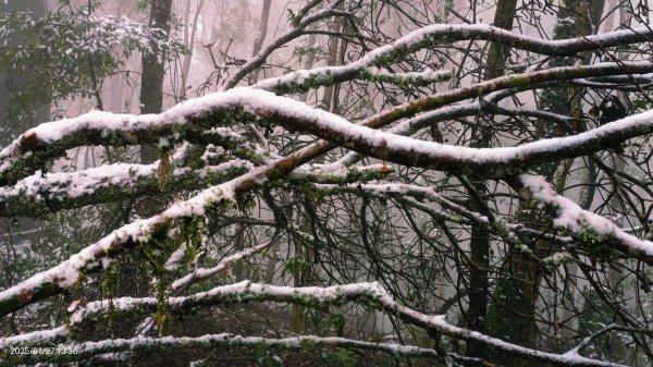 我的2025第一場雪，包場夫婦山，獨享差強人意的雪景&雲海。1/272699853