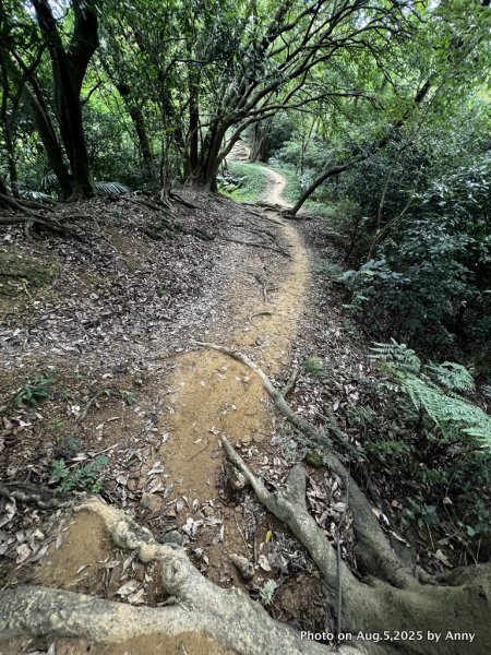 連走微笑山線第一段＋第二段（大棟山系）2853027