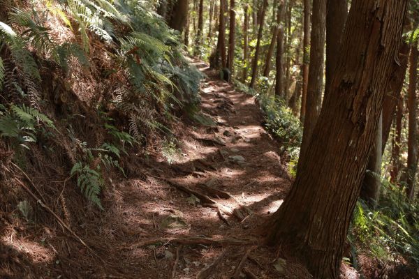 谷關七雄：新山馬崙山178266