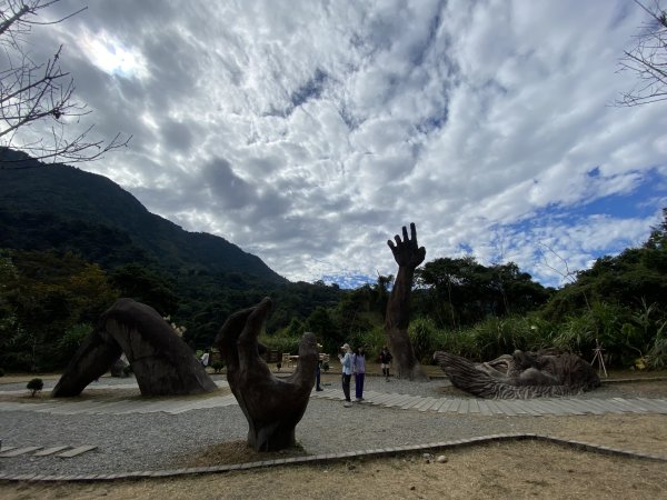 《雪山坑登山步道｜巨人之手森林秘境 Xueshankeng Hiking Trail & Giant2971165