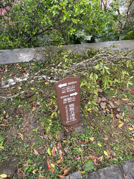 20260406[公車]雲嘉連峰-二尖山+馬鞍山+梨子腳山+太平山+太平山西峰3031084