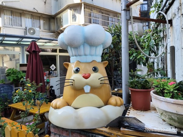 天母水管路步道→天母古道→磺溪→白雲瀑布【發現陽明山、臺北健走趣】2864642