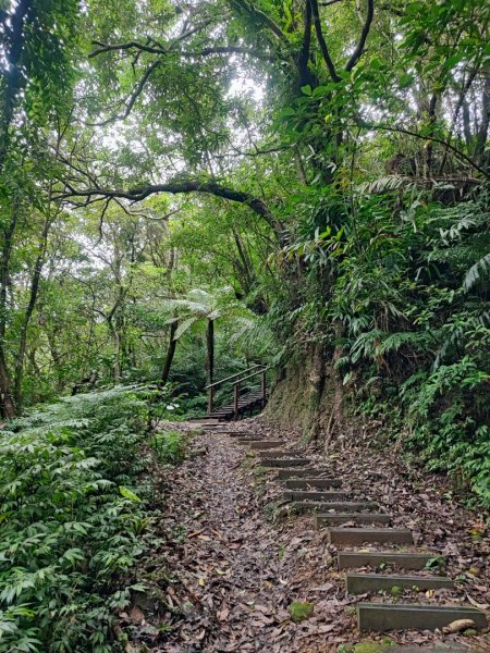 土庫岳-小百岳#14-新北市深坑區2247860