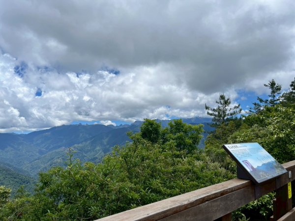 新竹 五峰 觀霧國家森林遊樂區 大鹿林道西線 榛山步道2811400