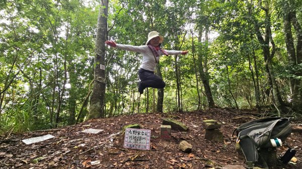 屯野生台山(秀巒山)＆石麻達山連走3129381