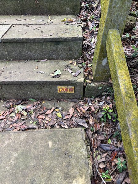 龜山島 401 高地登島2899115