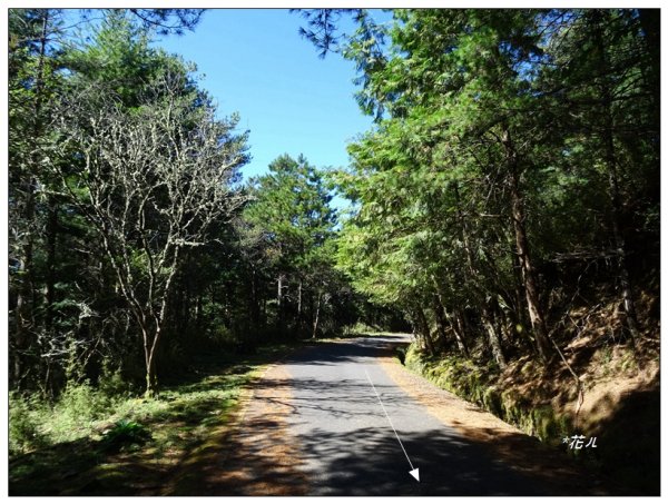 麟趾山步道2397295