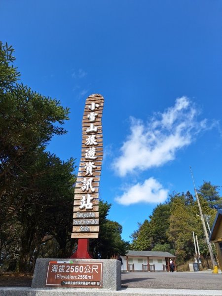 朝聖台灣最大神木之首-大安溪神木2704488