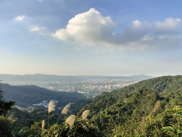 2023.12.14 土城天上山2827289