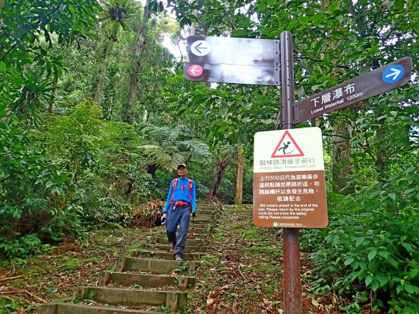 烏來登大刀山大保克山下內洞森林遊樂區  523225