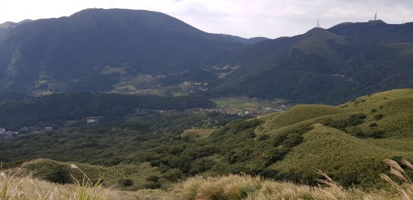 小油坑.七星山主峰768035