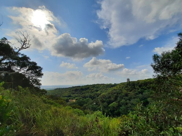 《台中》大肚環保公園登山步道、望高寮賞景1054764