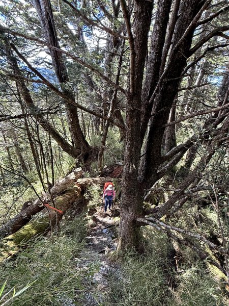 觀雲山莊經小完美谷上畢祿山O繞2917204