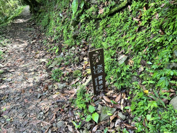 內洞國家森林遊樂區2806883