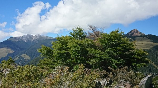 201810 6-8 武陵四秀426579