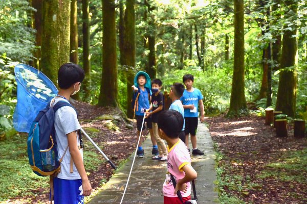 【暑期活動】森林裡的夏日學習：到大自然裡放暑假