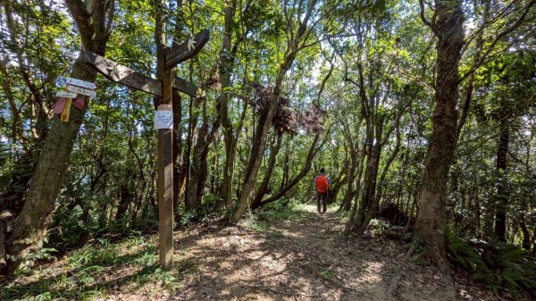 114.06.28內平林山-番子坑山-平湖森林遊樂區之O型2824266